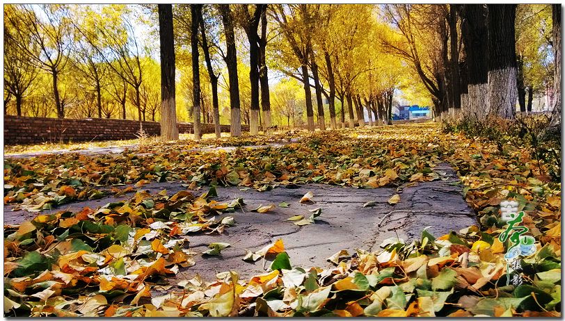 對于工作，你帶著情懷了嗎？