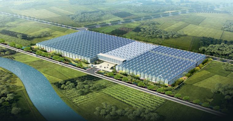 數(shù)字農(nóng)業(yè)&玫瑰自由