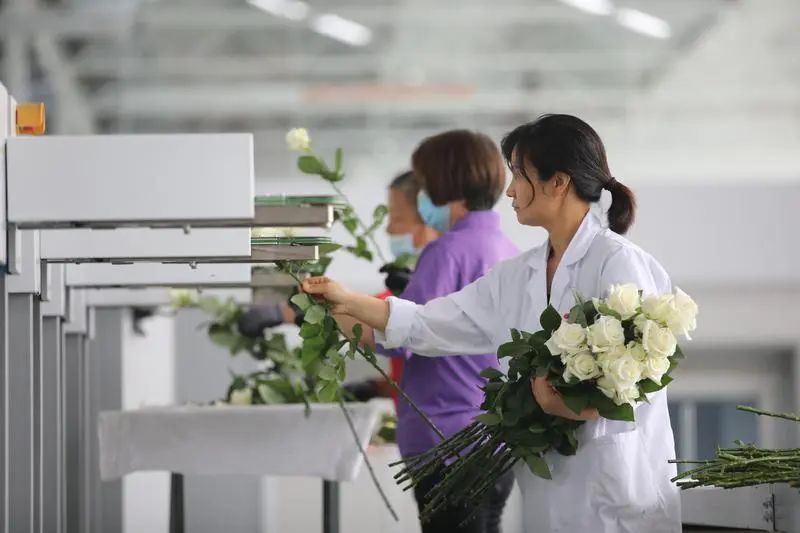 群眾新聞報(bào)道基泰園藝！