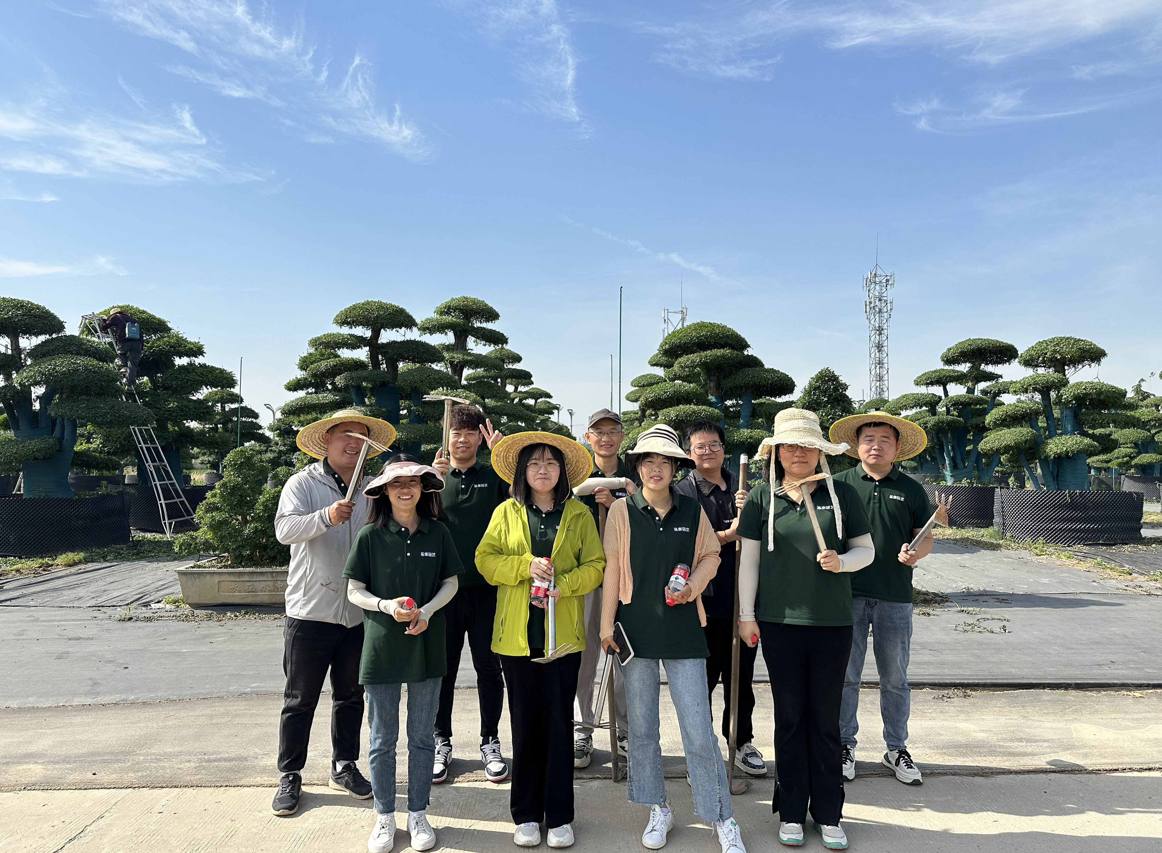 沉浸式體驗 | 來場心靈“森”呼吸！