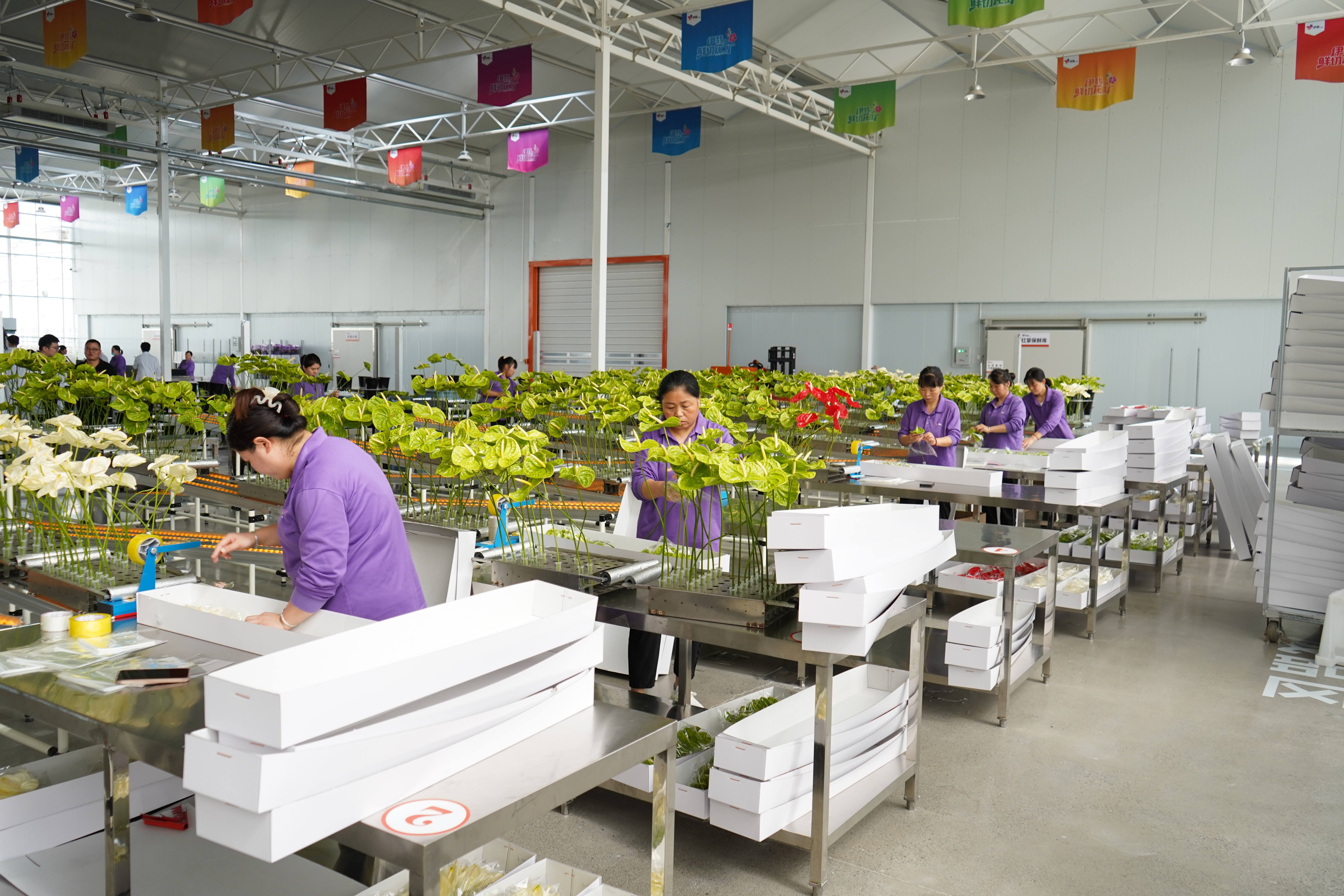 技能比試 以賽促學(xué)！